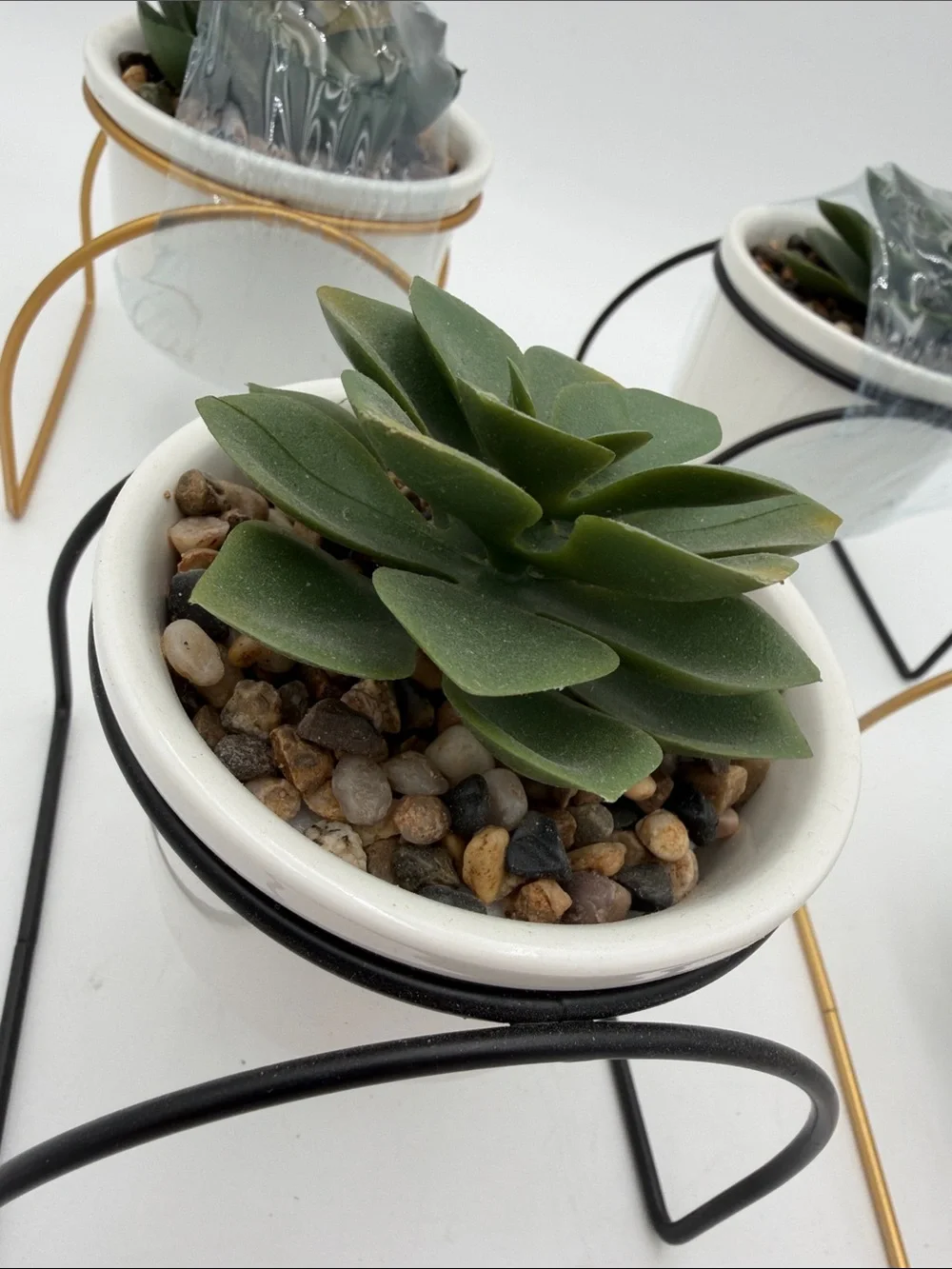 Set Of 4 White Ceramic Succulent Planter with Black and Gold Metal Stands